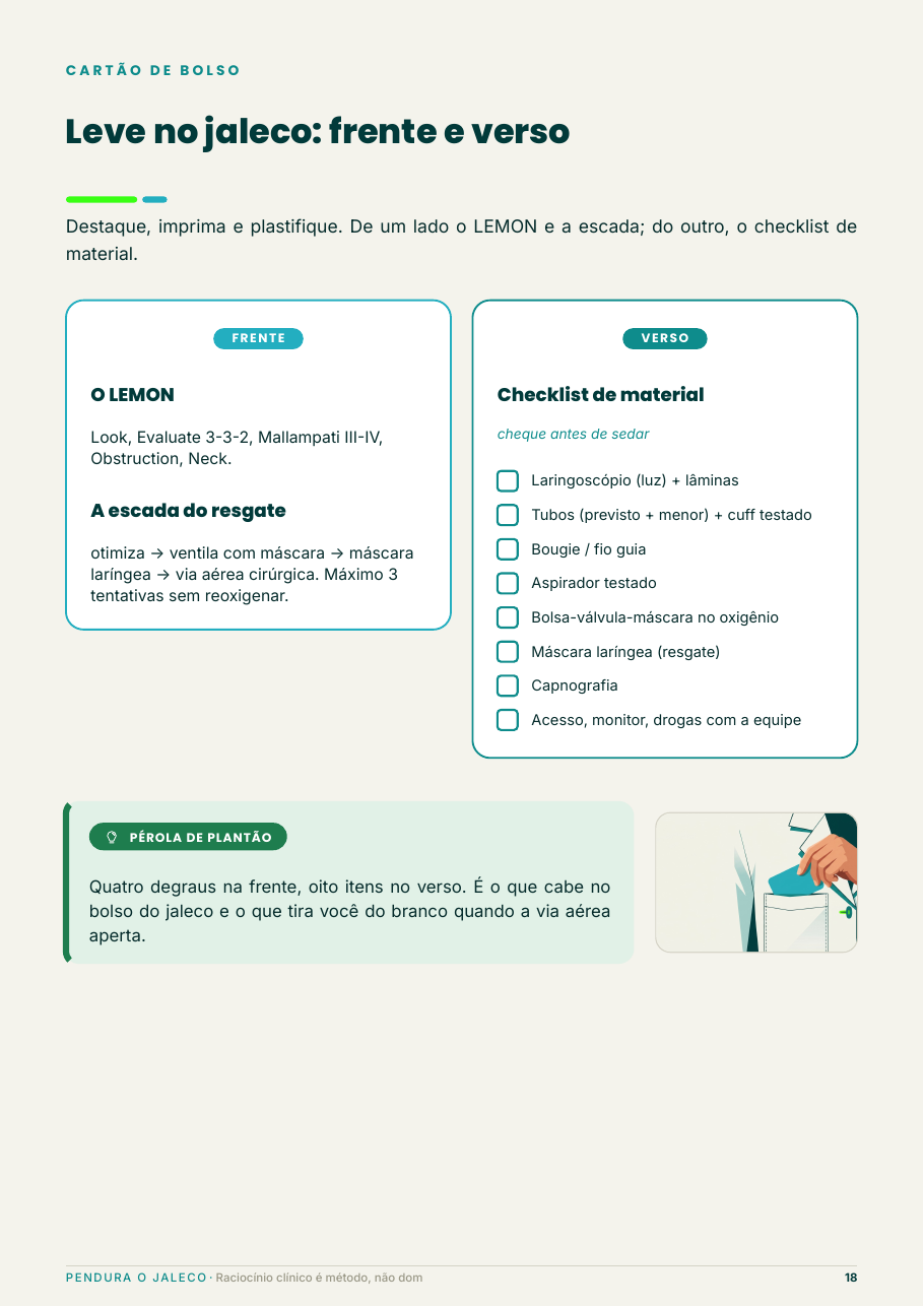 Prévia do cartão de bolso do guia: frente com o LEMON e a escada do resgate, verso com o checklist de material
